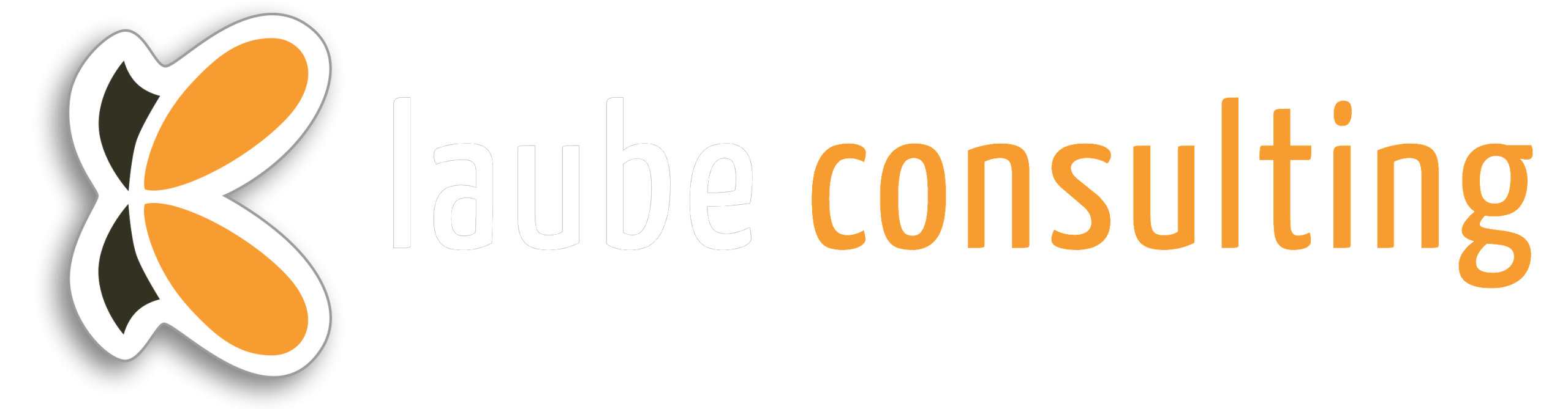 Laube-consulting